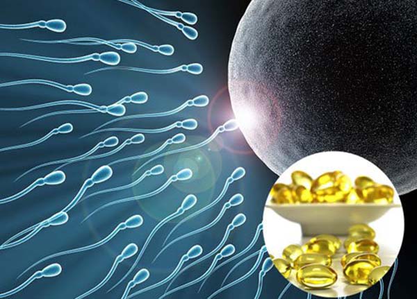 Vitamin E có khả năng hỗ trợ và cải thiện sức khỏe sinh sản đối với cả nam và nữ