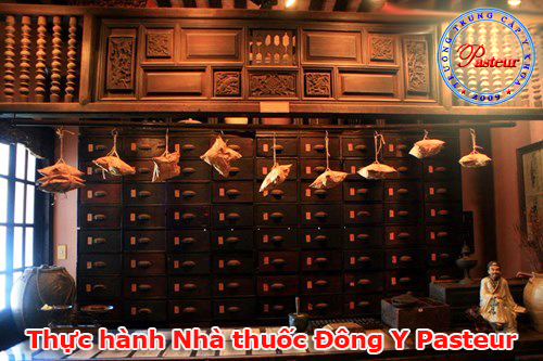 thuc-hanh-nha-thuoc-dong-y-pasteur