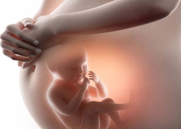 Đái tháo đường thai kỳ ảnh hưởng đến sự phát triển của thai nhi